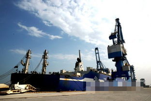 潍坊港开港运营 对加快开发建设和打造区域航运物流中心具有重要意义